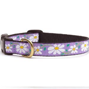 Size XSmall Violet Daisy Dog Pet Premium Ribbon Collar by Up Country
